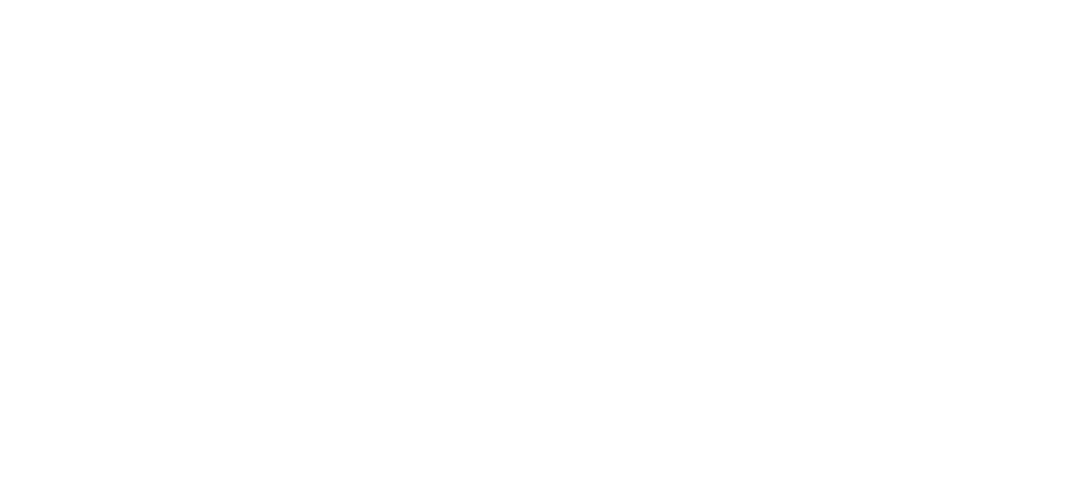 Lg Logo